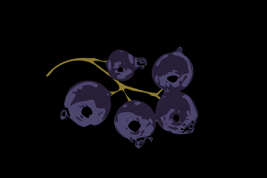 Black Currant Balsamic Vinegar