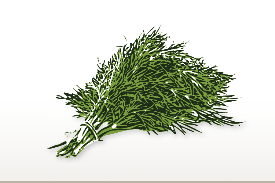 Wild Fernleaf Dill Olive Oil