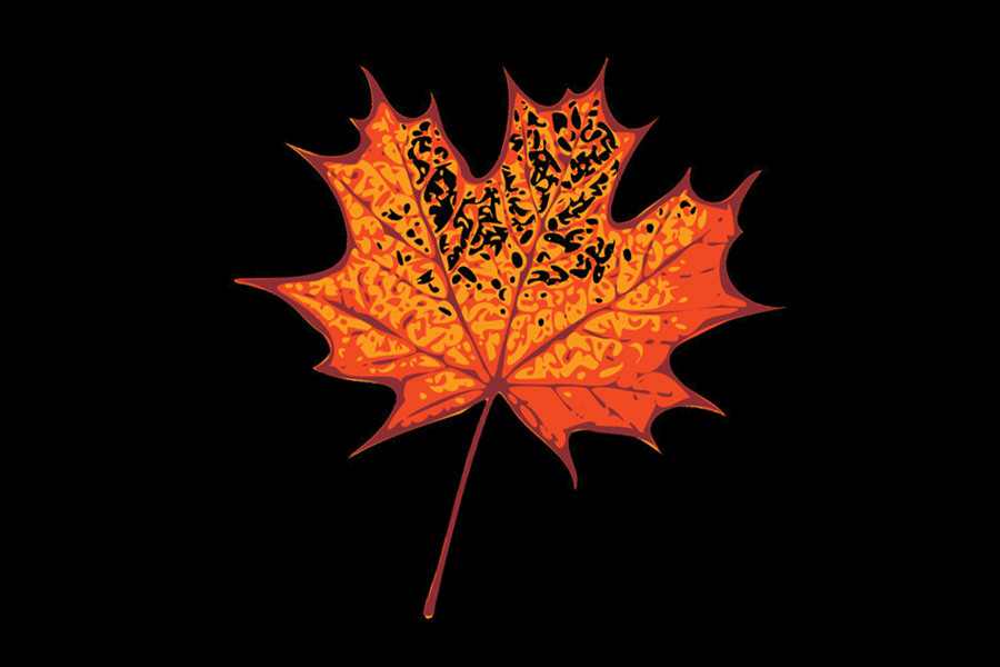 Montreal Maple Balsamic Vinegar