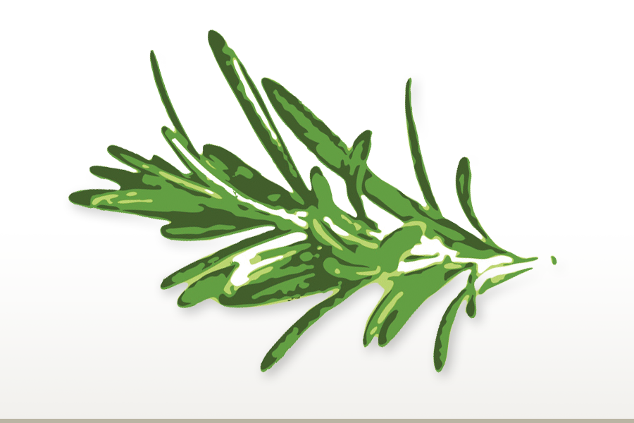 Wild Rosemary Olive Oil
