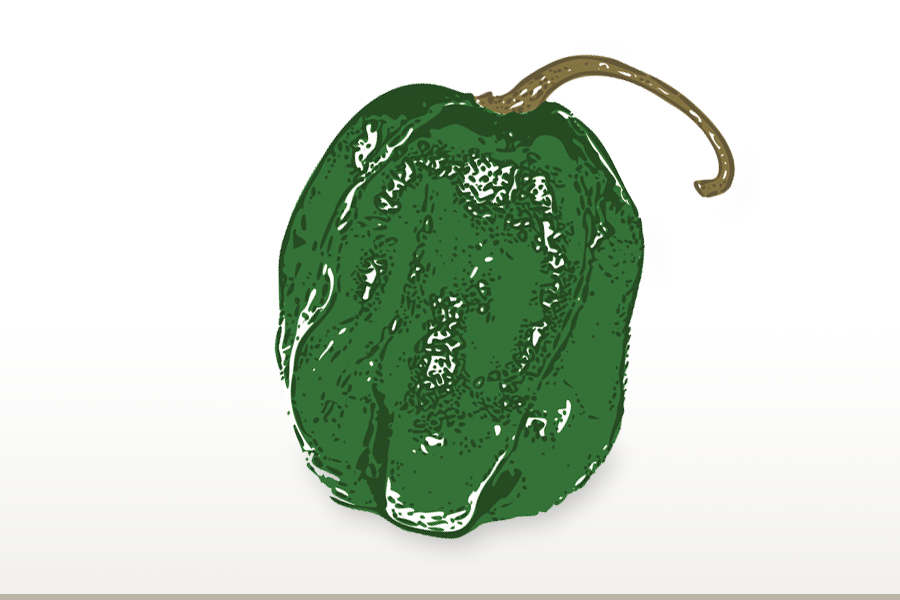 Baklouti Green Chili Olive Oil