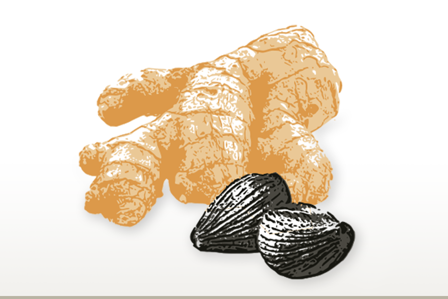 Ginger & Black Garlic Olive Oil