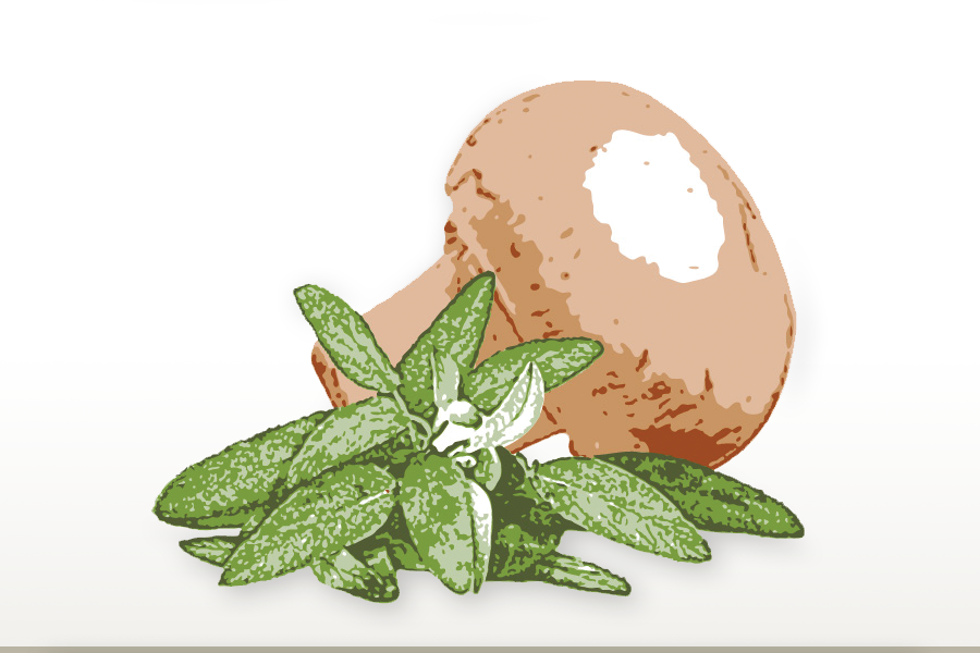 Wild Mushroom & Sage Olive Oil