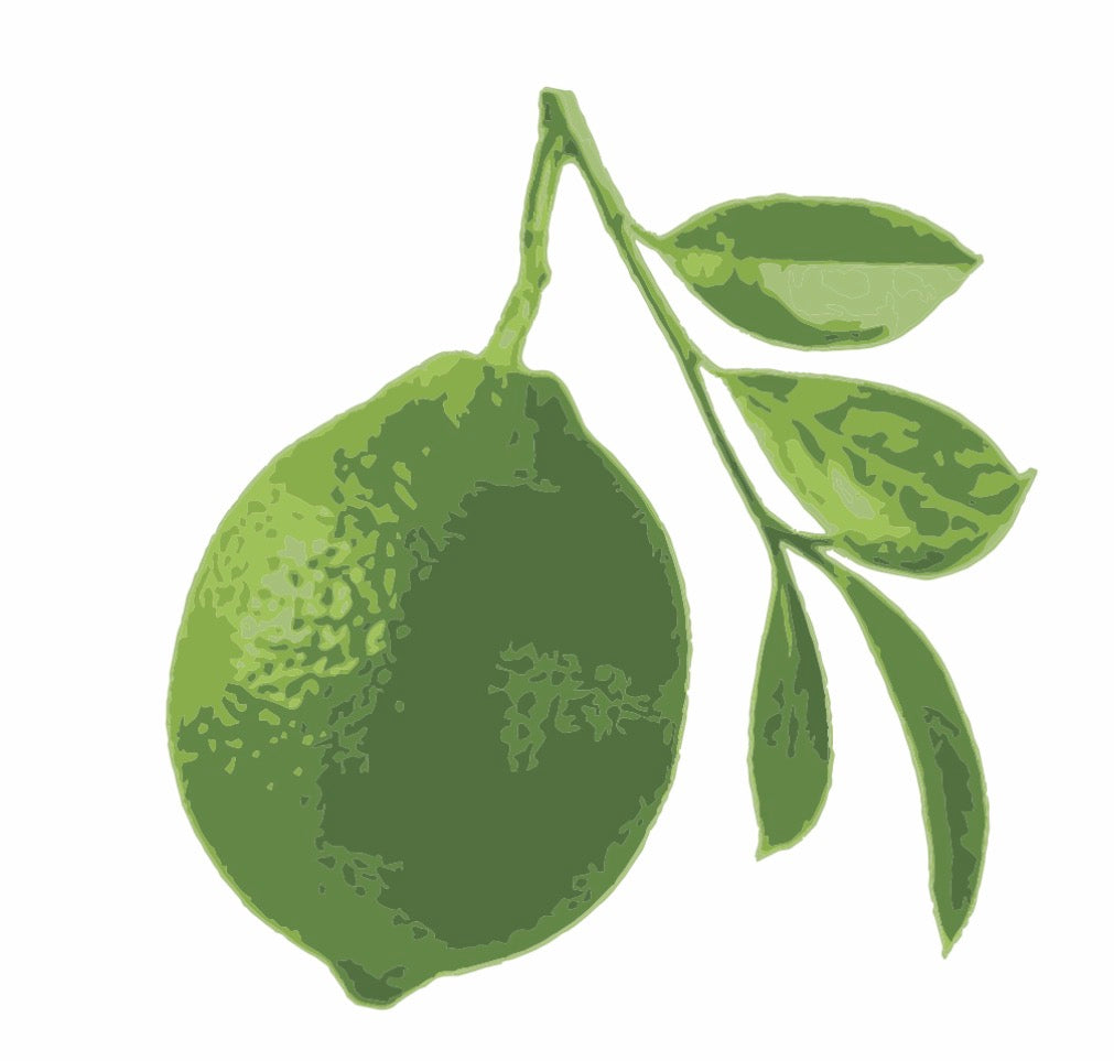 Messina Green Limonato Fused Olive Oil