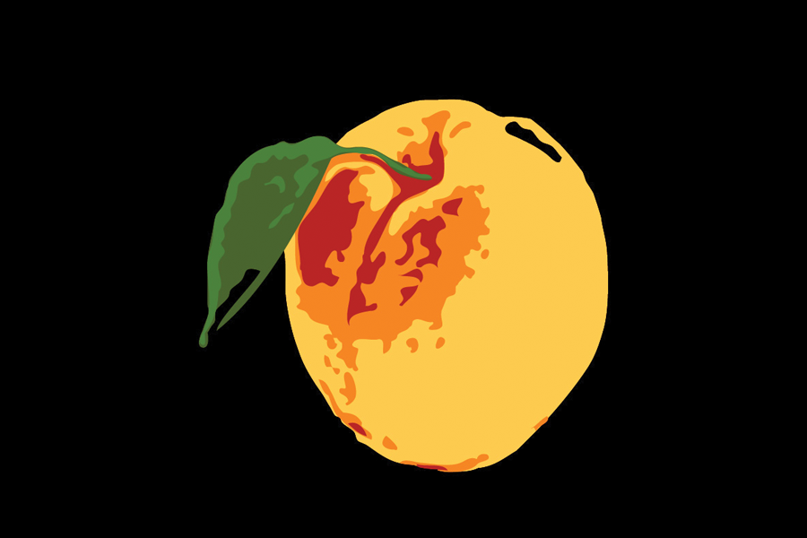Blenheim Apricot Balsamic Vinegar