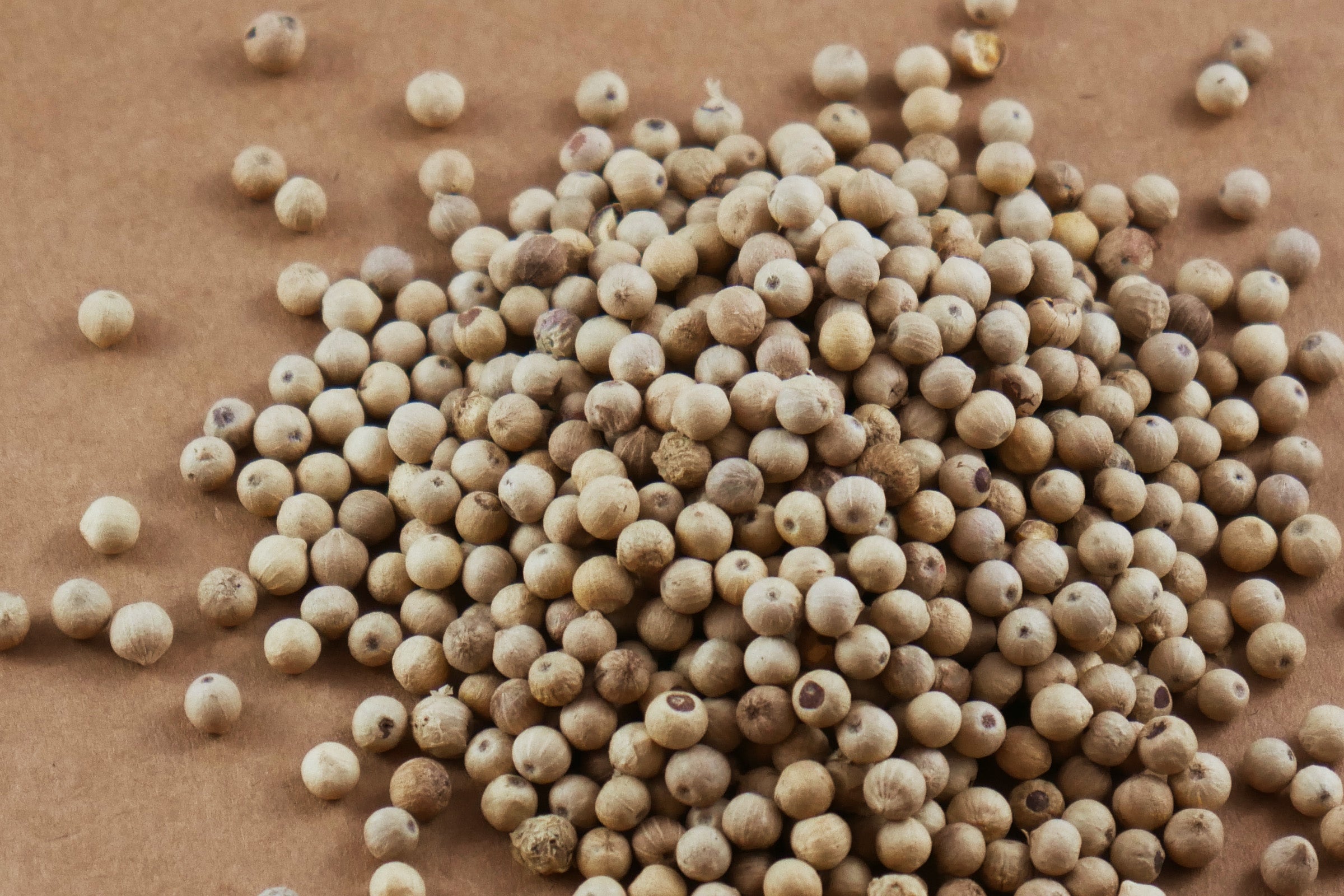 White Peppercorn